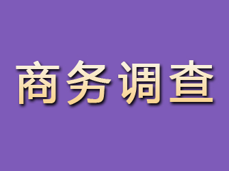 巫山商务调查